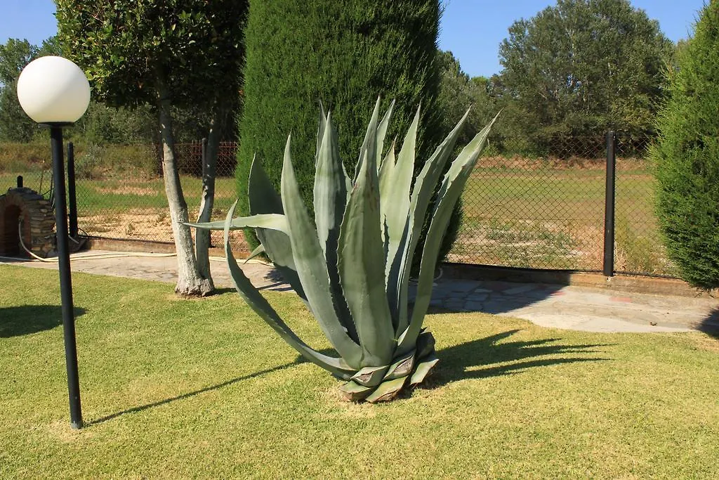 דירות וורוורו Garden House